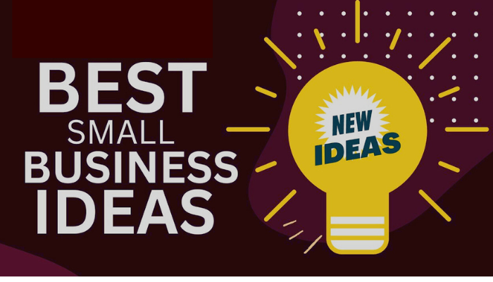10 Low-Cost Startup Ideas